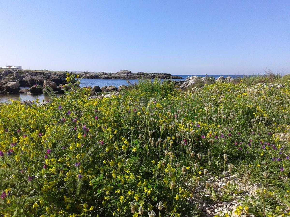 La Porta Di Mare B&B Nardò Kültér fotó